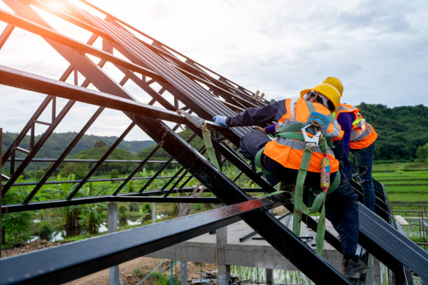 Best Flat Roof Repair Services  in Lyons, IL